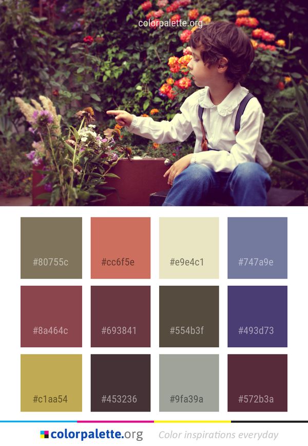 Flower Plant Nature Color Palette