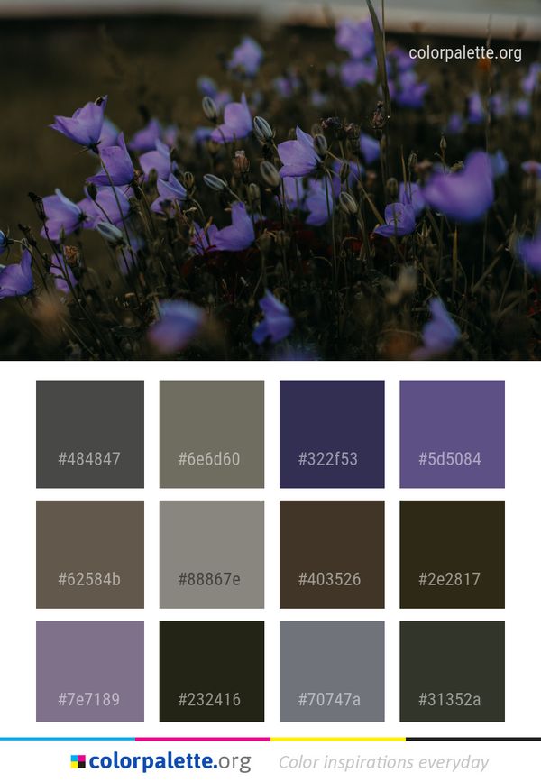 Flower Plant Purple Color Palette