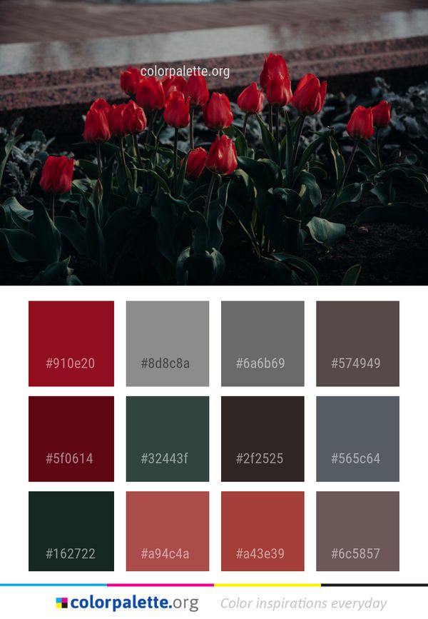 Flower Plant Red Color Palette