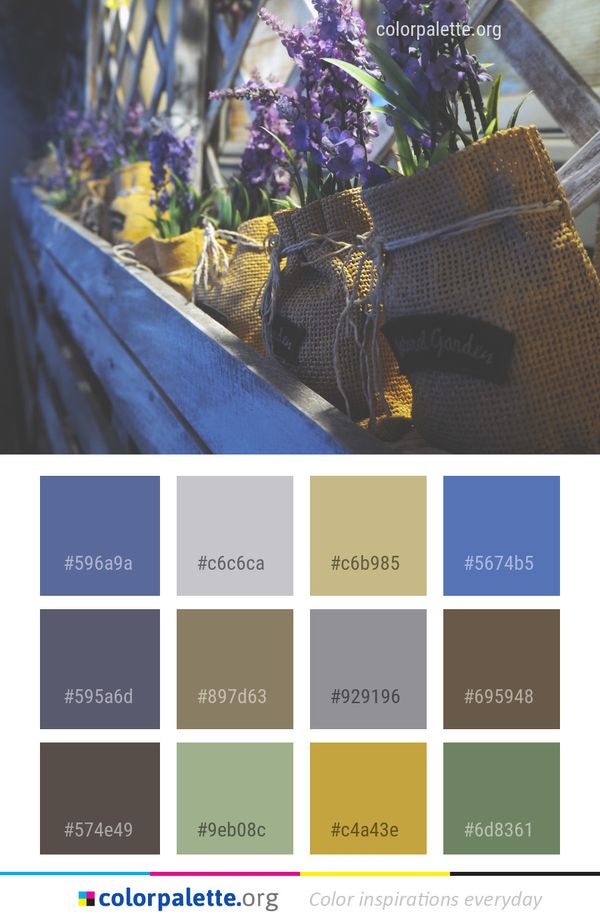 Flower Purple Yellow Color Palette