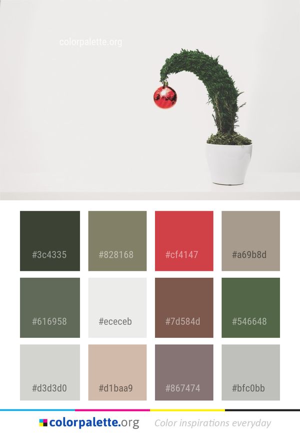 Flowerpot Houseplant Plant Color Palette