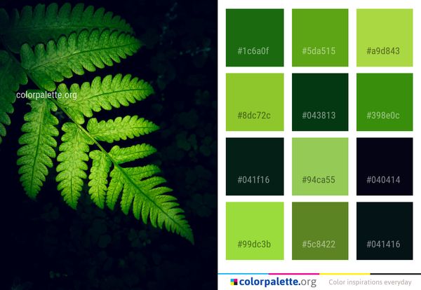 Green Leaf Vegetation Color Palette