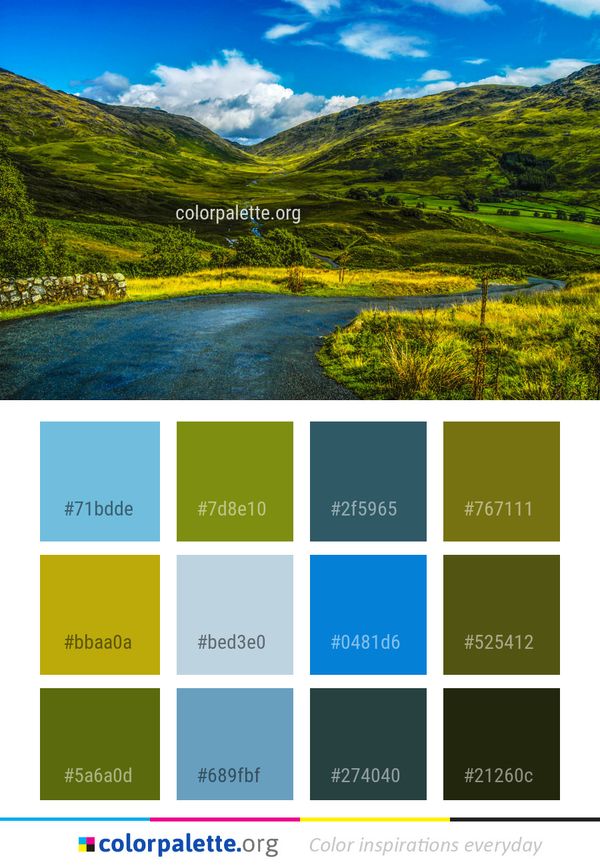 Nature Highland Vegetation Color Palette