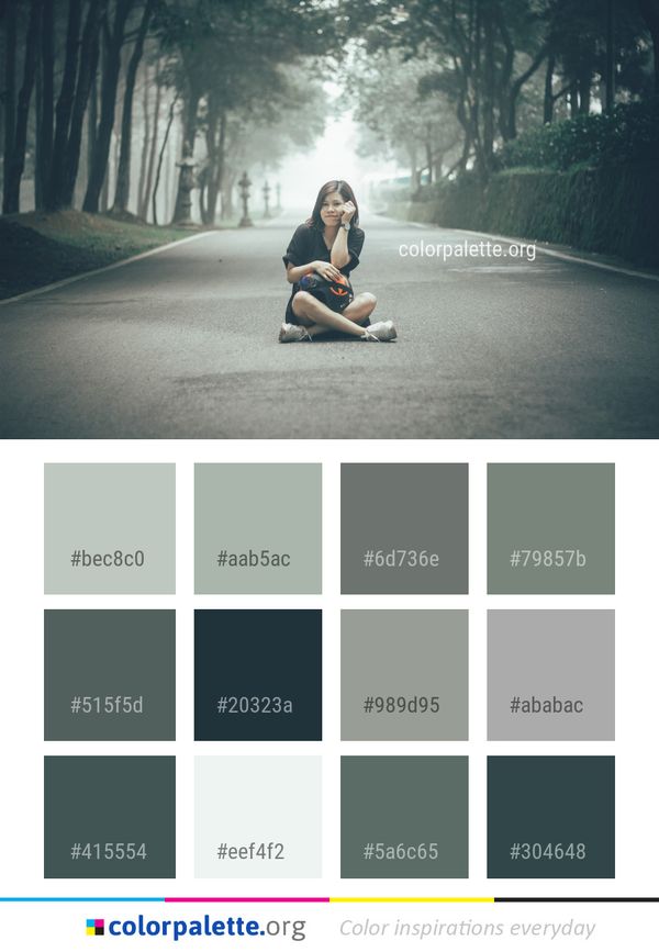 Photograph Nature Tree Color Palette