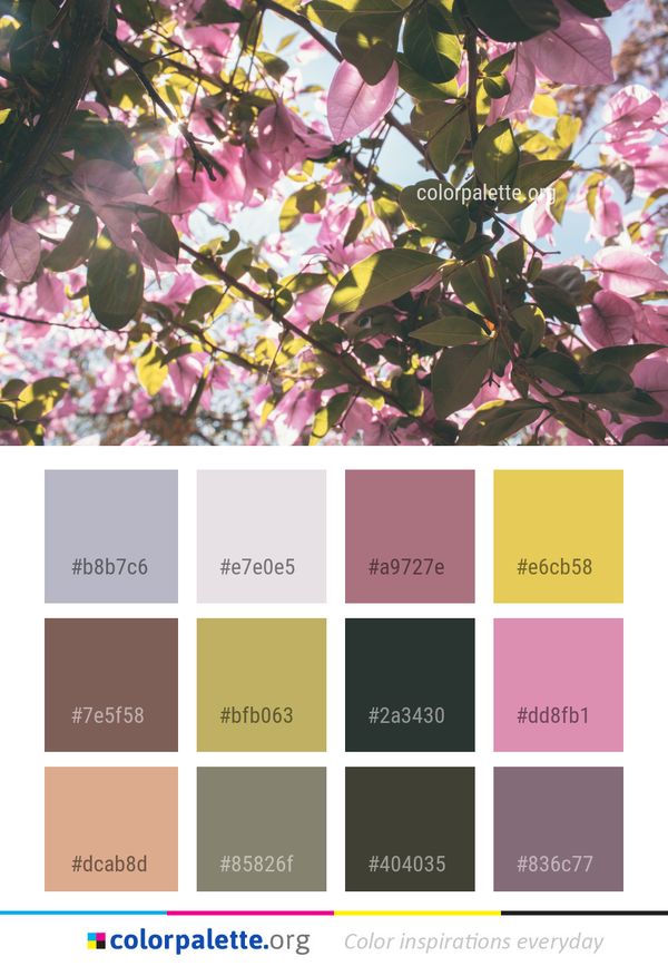 Plant Flower Pink Color Palette