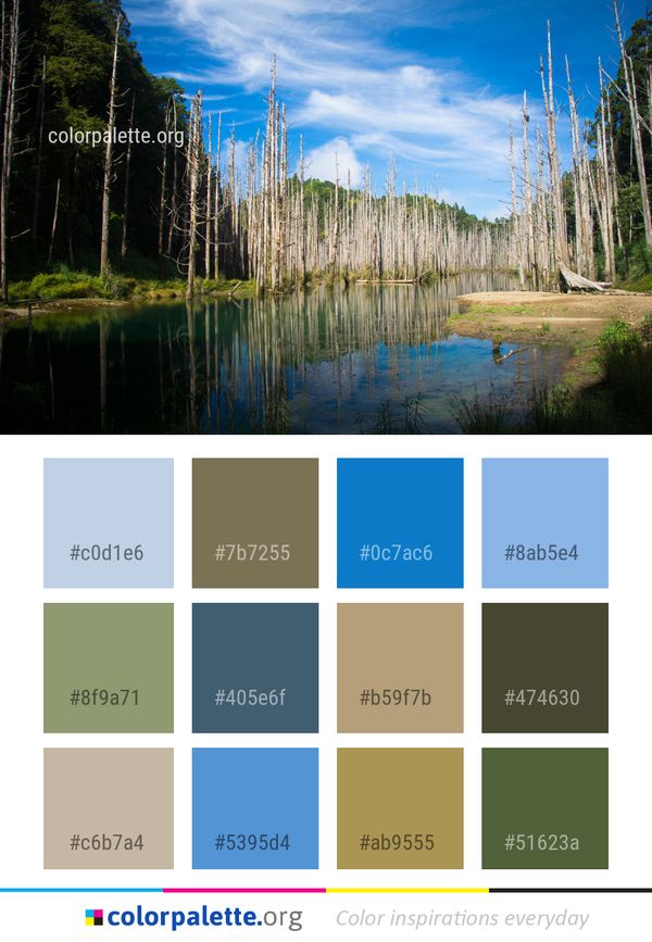 Reflection Nature Water Color Palette