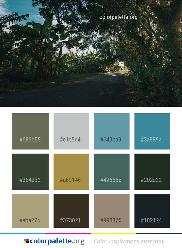 Road Nature Vegetation Color Palette