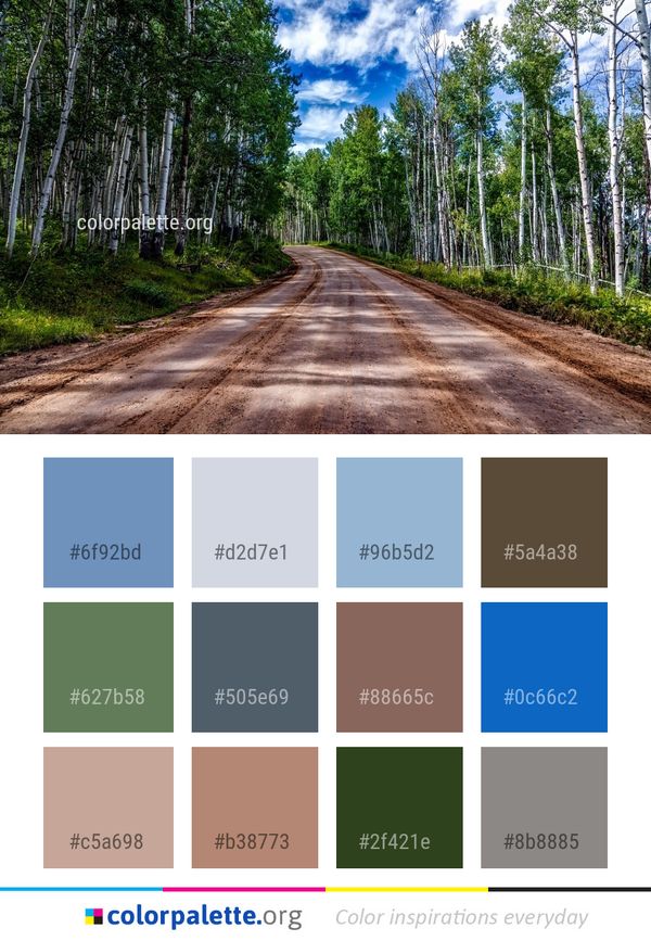 Road Path Tree Color Palette