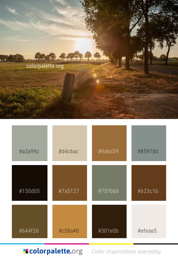 Sky Nature Tree Color Palette