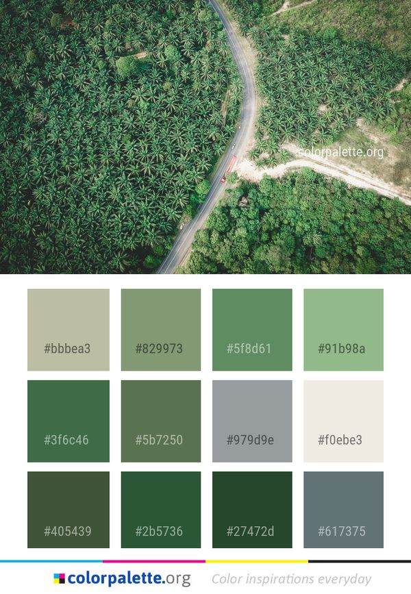 Vegetation Green Aerial Photography Color Palette