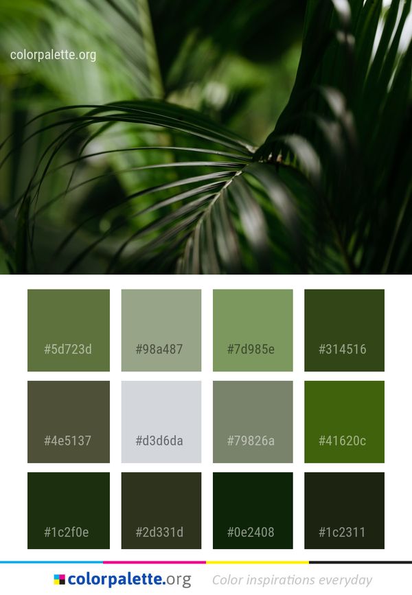 Vegetation Leaf Flora Color Palette