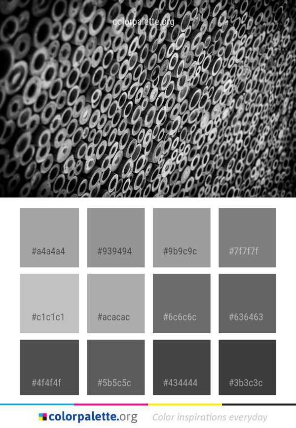 Black And White Monochrome Photography Color Palette