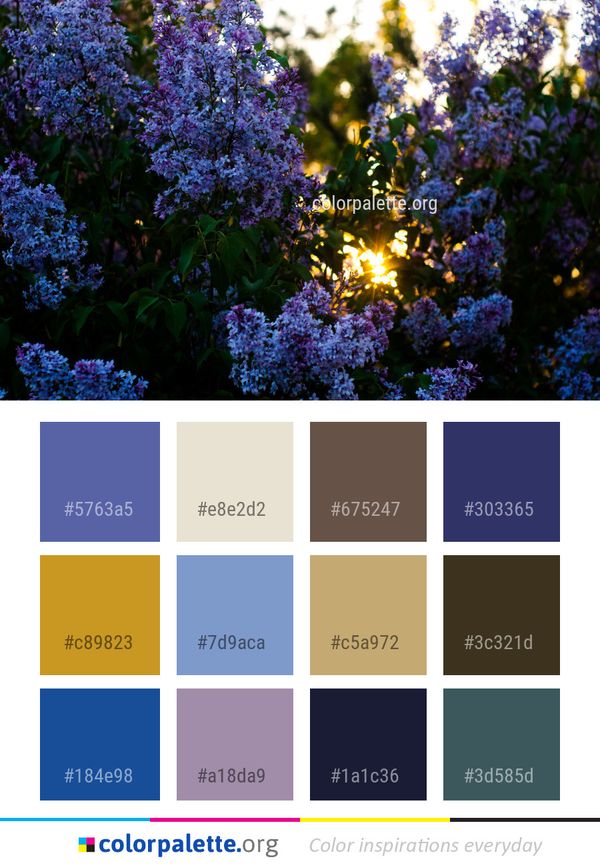 Blue Flower Plant Color Palette