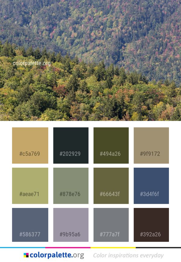 Ecosystem Temperate Broadleaf And Mixed Forest Leaf Color Palette