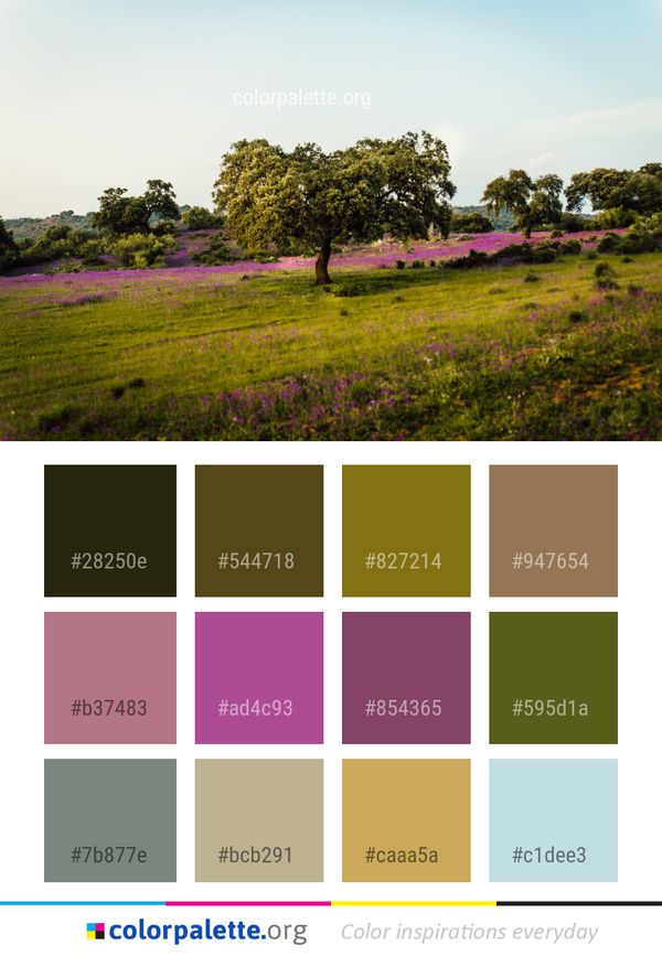 Flower Field Vegetation Color Palette