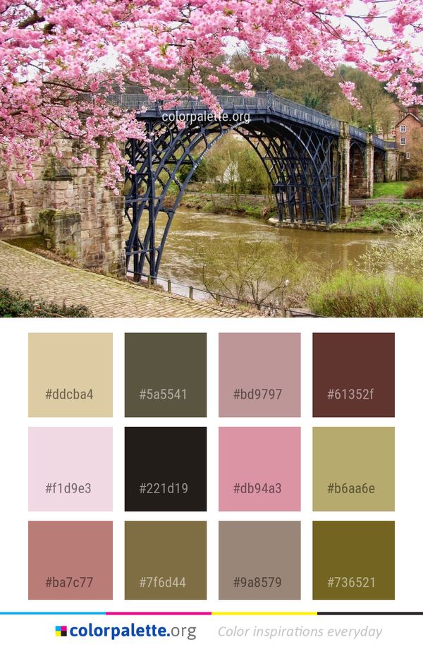 Flower Plant Spring Color Palette