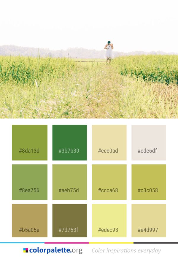 Grassland Ecosystem Prairie Color Palette