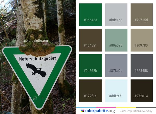 Green Tree Nature Reserve Color Palette