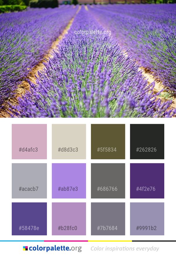 Lavender English Color Palette