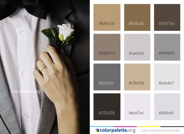 Man Formal Wear Shoulder Color Palette