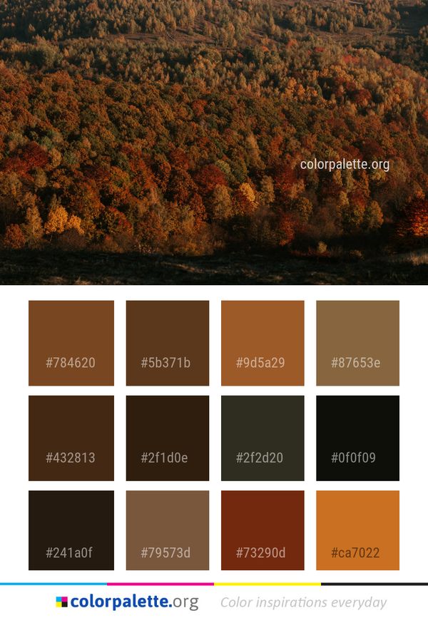 Nature Ecosystem Leaf Color Palette