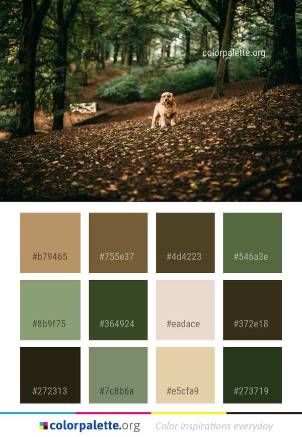 Nature Leaf Mammal Color Palette