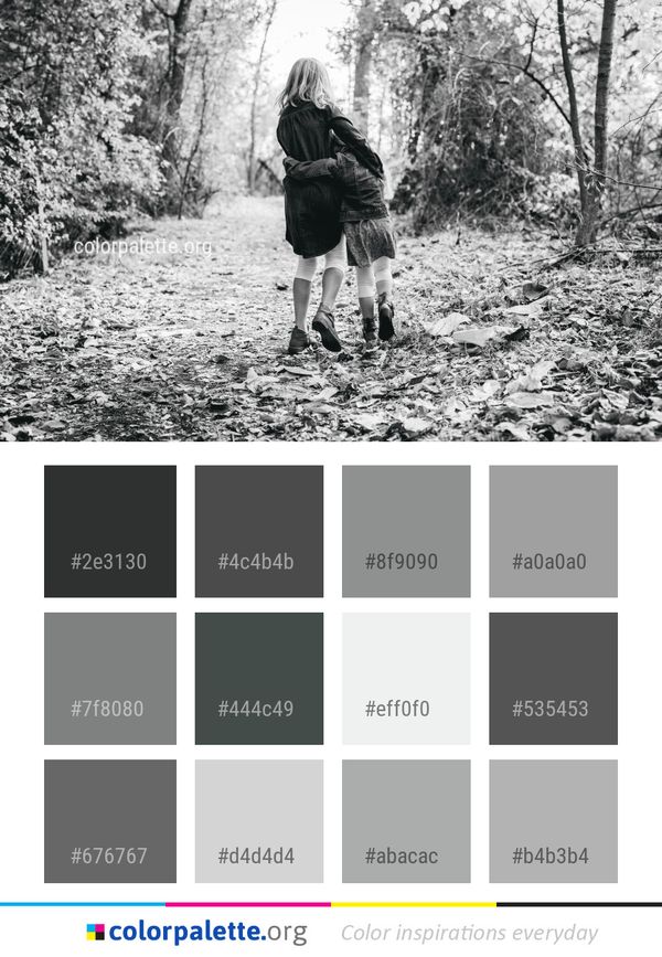 Photograph Black Tree Color Palette