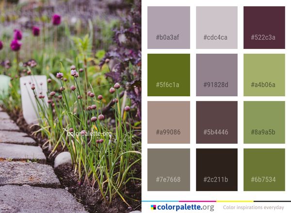 Plant Flower Flora Color Palette