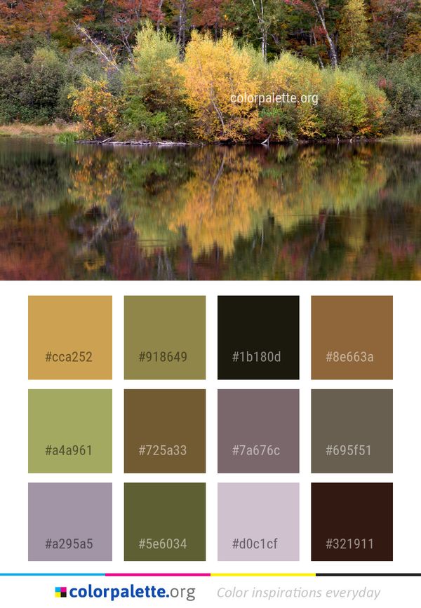 Reflection Water Nature Color Palette