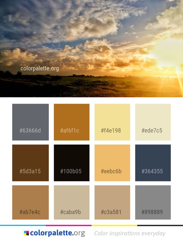 Sky Cloud Horizon Color Palette