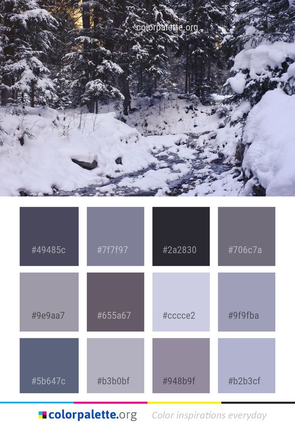 Snow Winter Tree Color Palette