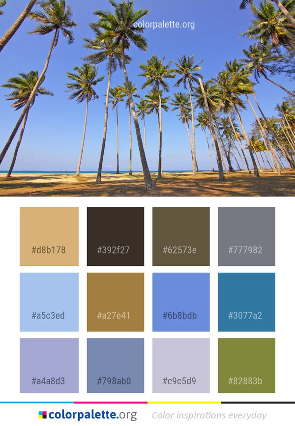 Tree Body Of Water Sky Color Palette