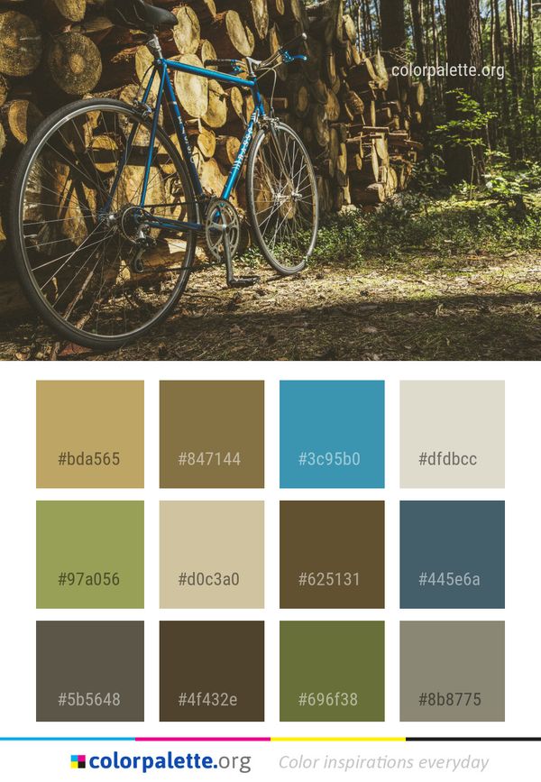 Bicycle Land Vehicle Road Color Palette