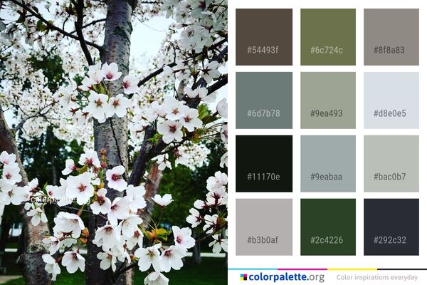 Blossom Plant Spring Color Palette