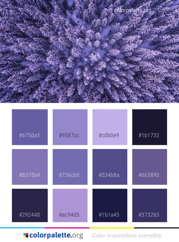 Blue Frost Purple Color Palette