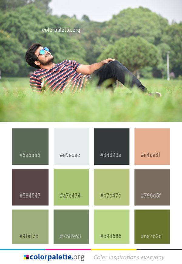 Grassland Nature Grass Color Palette