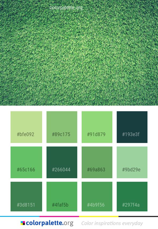 Green Grass Vegetation Color Palette