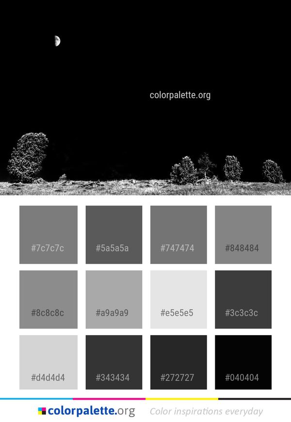Moon Black And White Color Palette