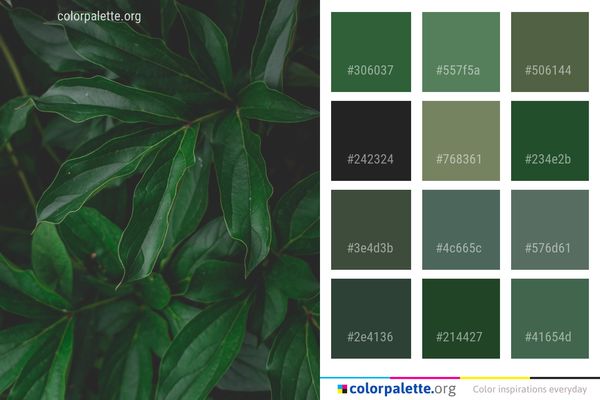 Plant Leaf Green Color Palette