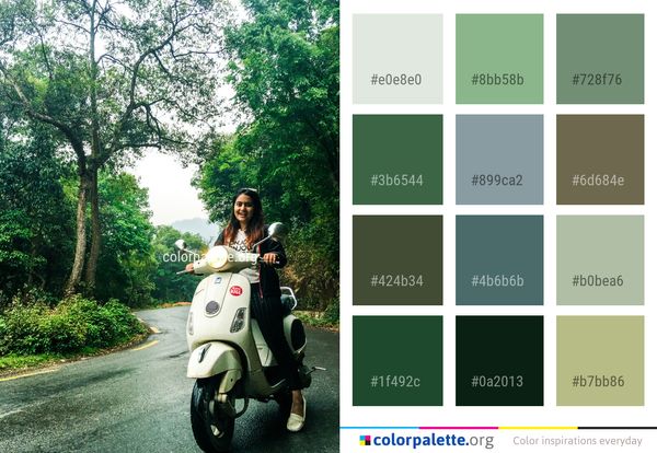 Scooter Green Tree Color Palette