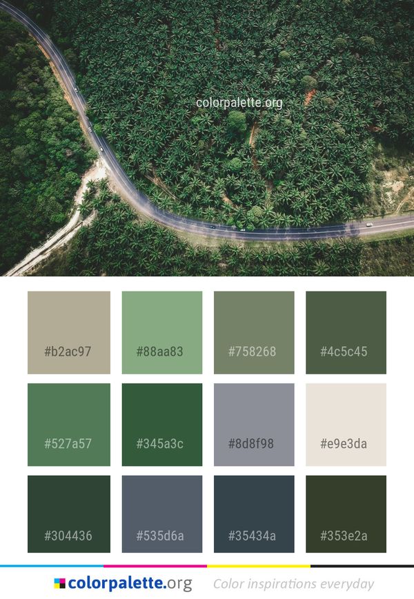 Vegetation Green Leaf Color Palette