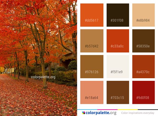 Autumn Nature Leaf Color Palette