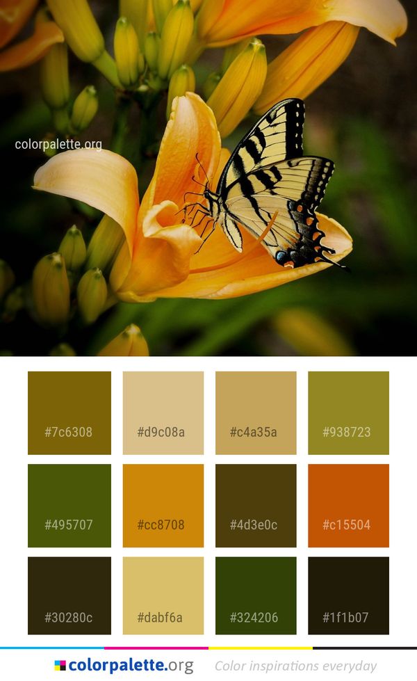 Butterfly Yellow Flower Color Palette