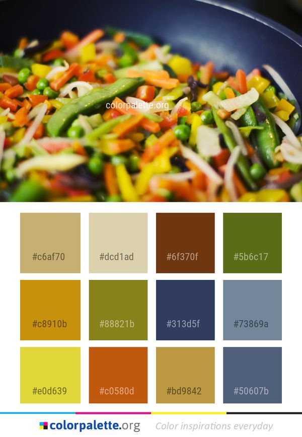 Dish Vegetable Vegetarian Food Color Palette