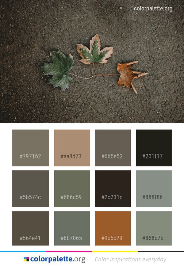 Leaf Fauna Flora Color Palette