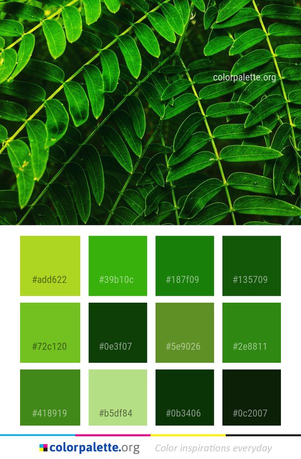 Leaf Green Vegetation Color Palette