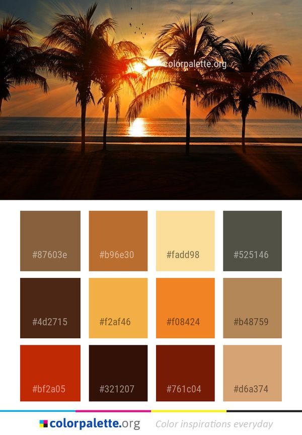 Palm Tree Arecales Sunset Color Palette