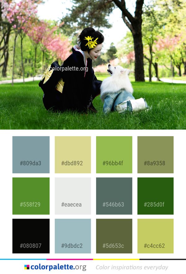 Photograph Mammal Vertebrate Color Palette