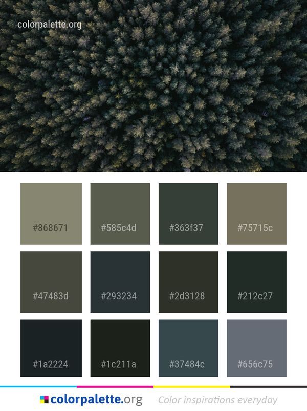 Biome Tree Reef Color Palette