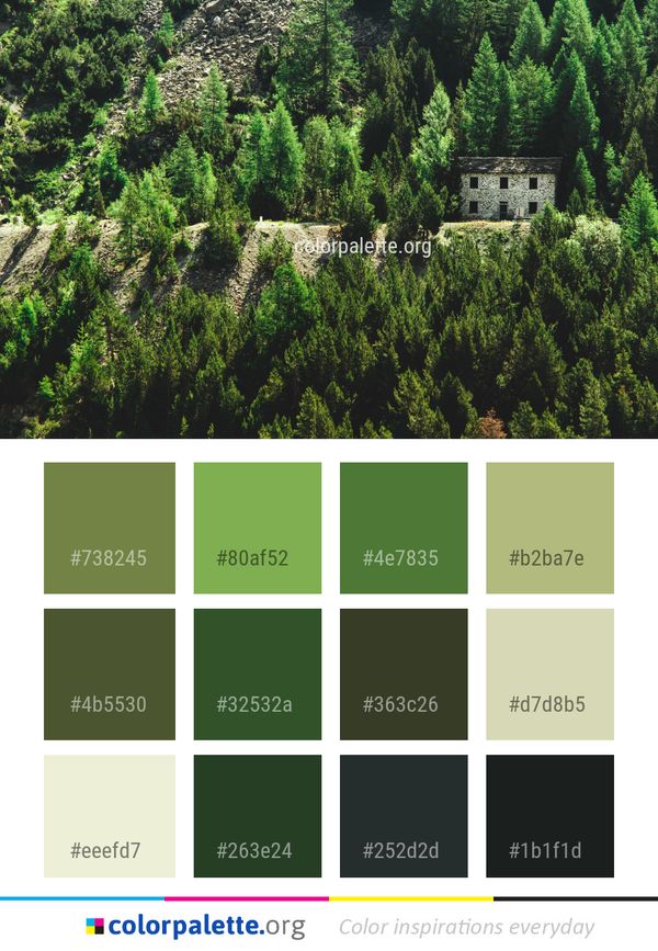 Green Vegetation Tree Color Palette